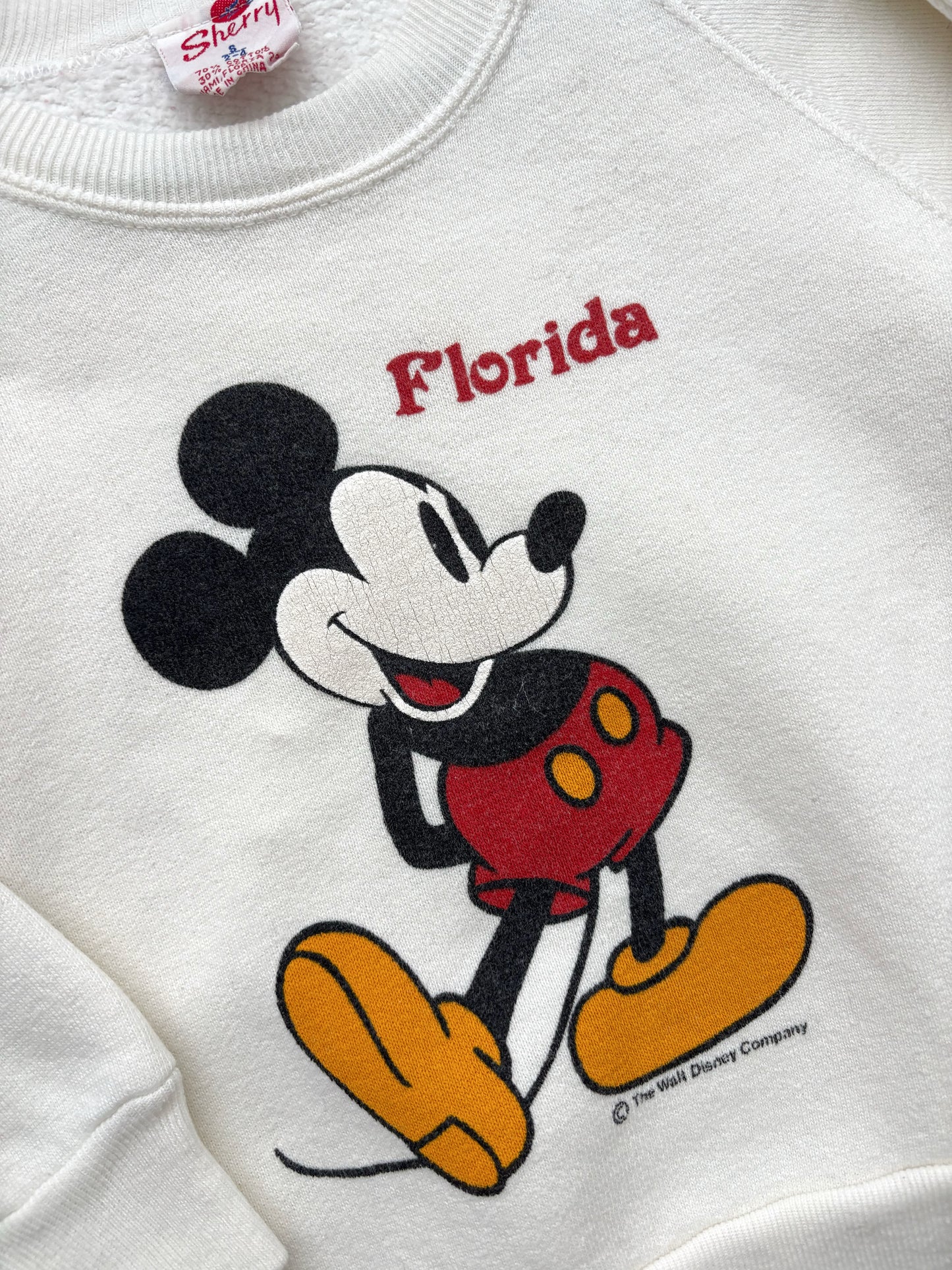 Disney Florida Sweatshirt Age 2-4 Years