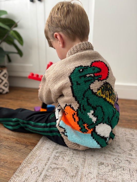 Hand Knit Dinosaur Jumper Age 3-4 Years
